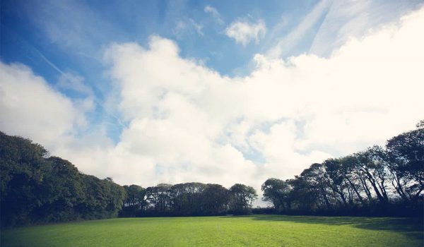 Lanyon Meadow. A beautiful flat meadow perfect for a marquee or tipi wedding